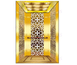 Passenger elevator carbin-5